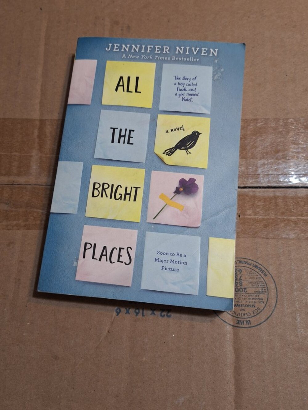 All The Bright Places